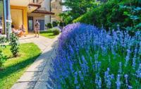 studiya-na-solnechnom-beregu