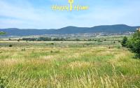 studiya-na-solnechnom-beregu