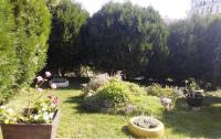 complex-kalia